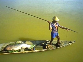 pescador pirarucu